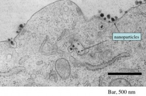 nanoparticulas contra tumores